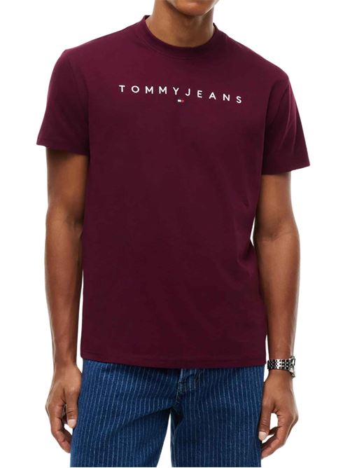 T-shirt con logo Tommy Jeans | DM0DM20744V11